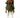 Cisca Cecil Tessa Top- Green